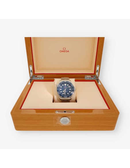 Omega Seamaster Diver 300m 42mm Co-Axial 21030422003001