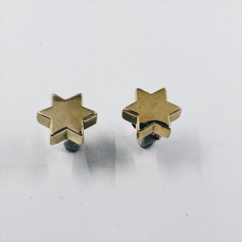 Pendientes Tous en oro