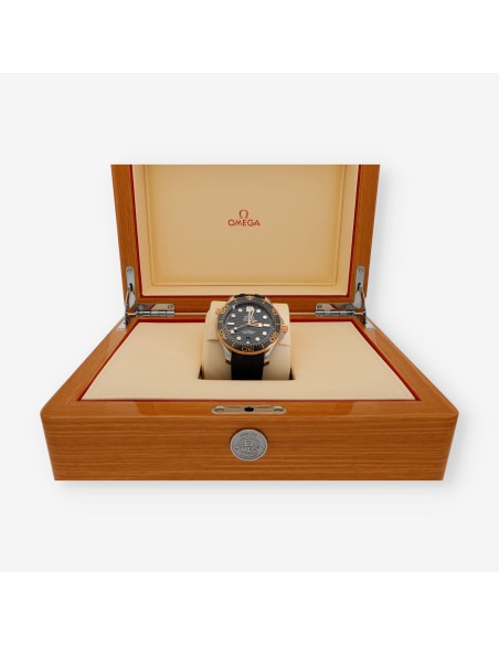 Omega Seamaster Diver 300m 42mm Co-Axial Caja y documentos